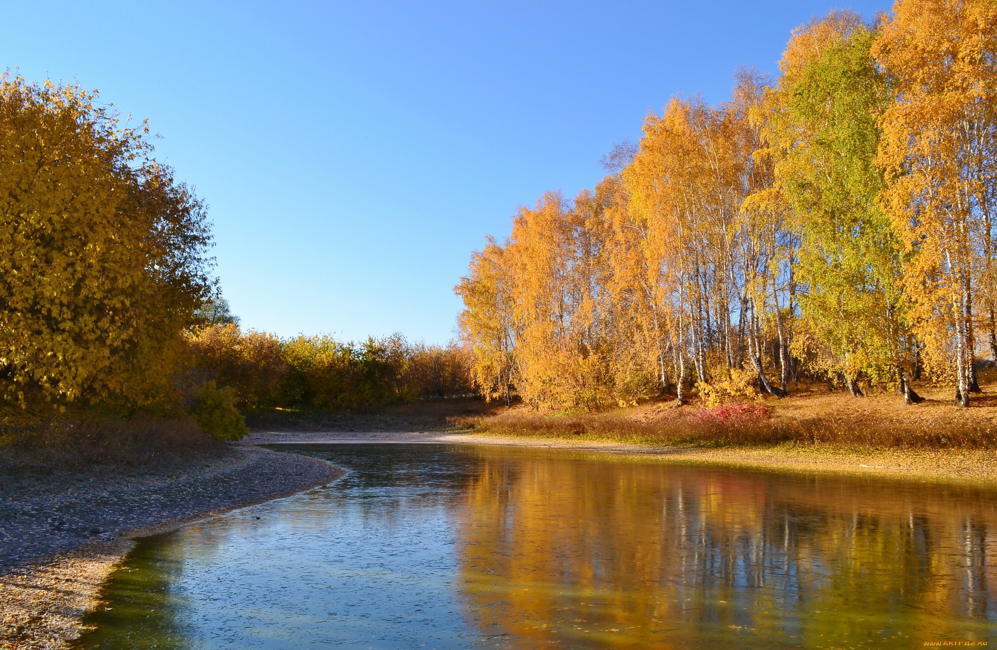 Река Волхов осень
